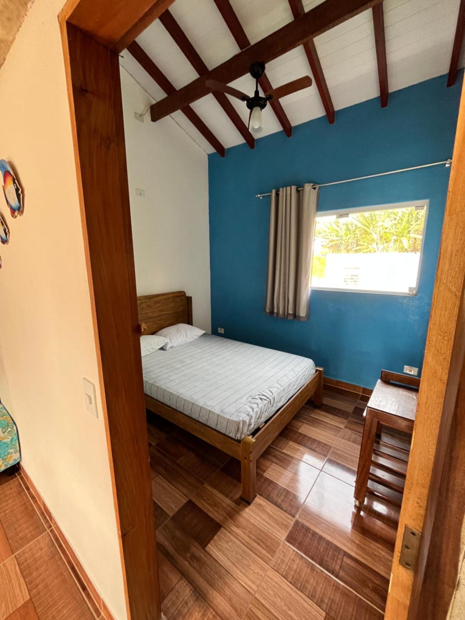 Casa Em - Ii - Arara Azul