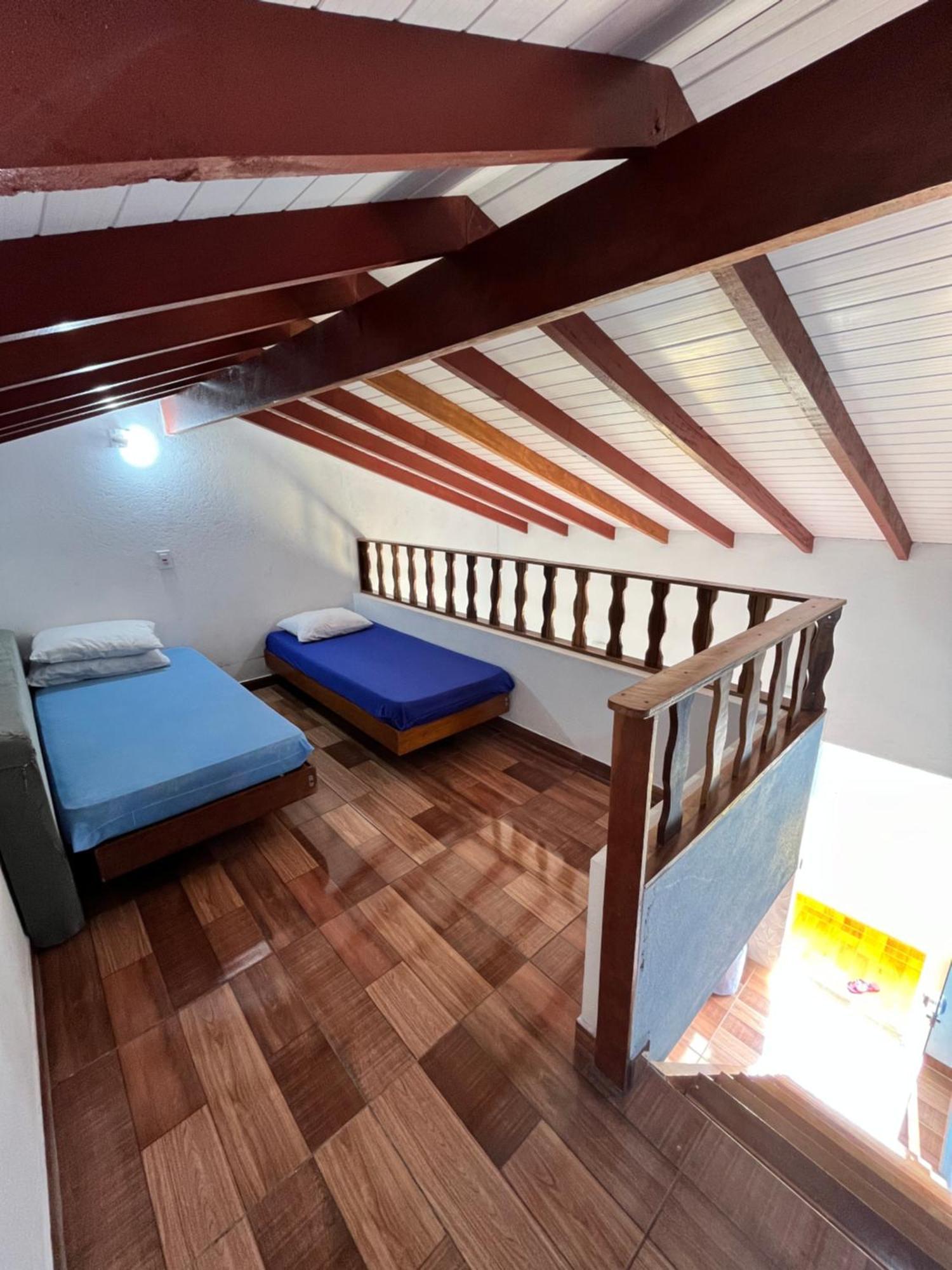 Casa Em - Ii - Arara Azul *