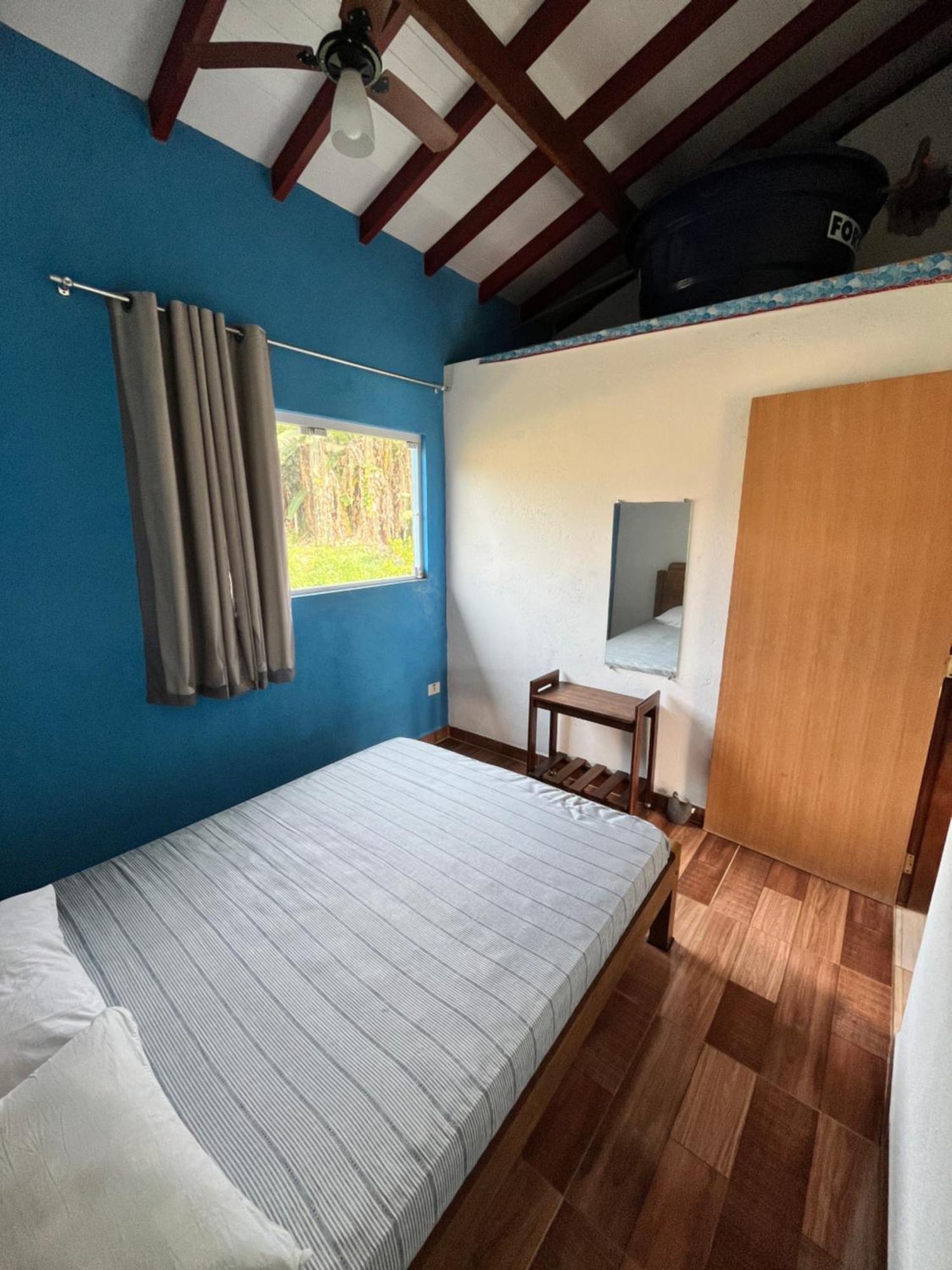 Apartamento Casa Em - Ii - Arara Azul